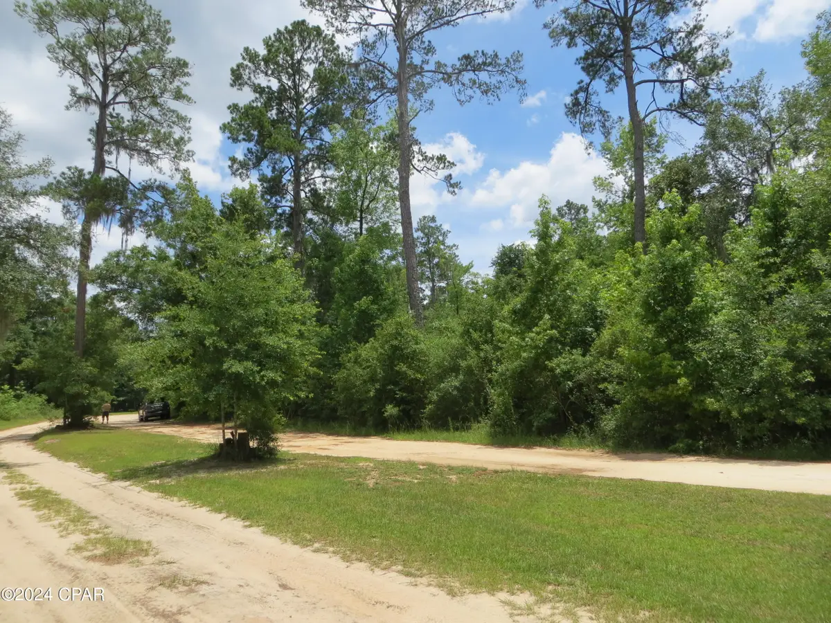 0000 Paradise Lakes Road, Chipley, FL 32428 - Image #1