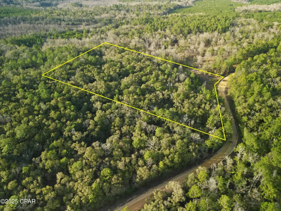 000 Creek Run Road, Vernon, FL 32462 - Image #3