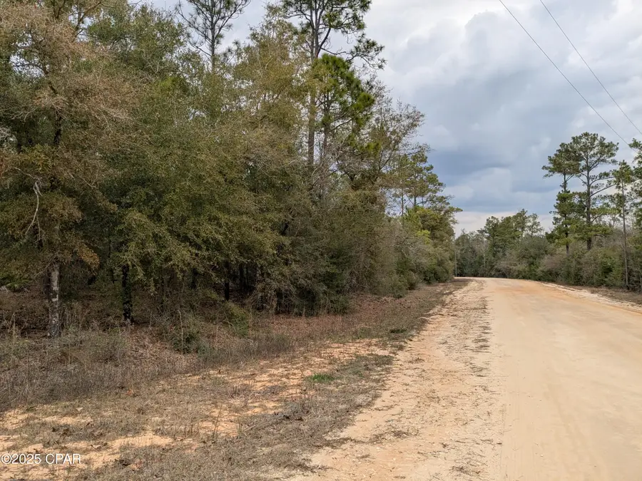 0 Starling Avenue, Marianna, FL 32448 - Image #2