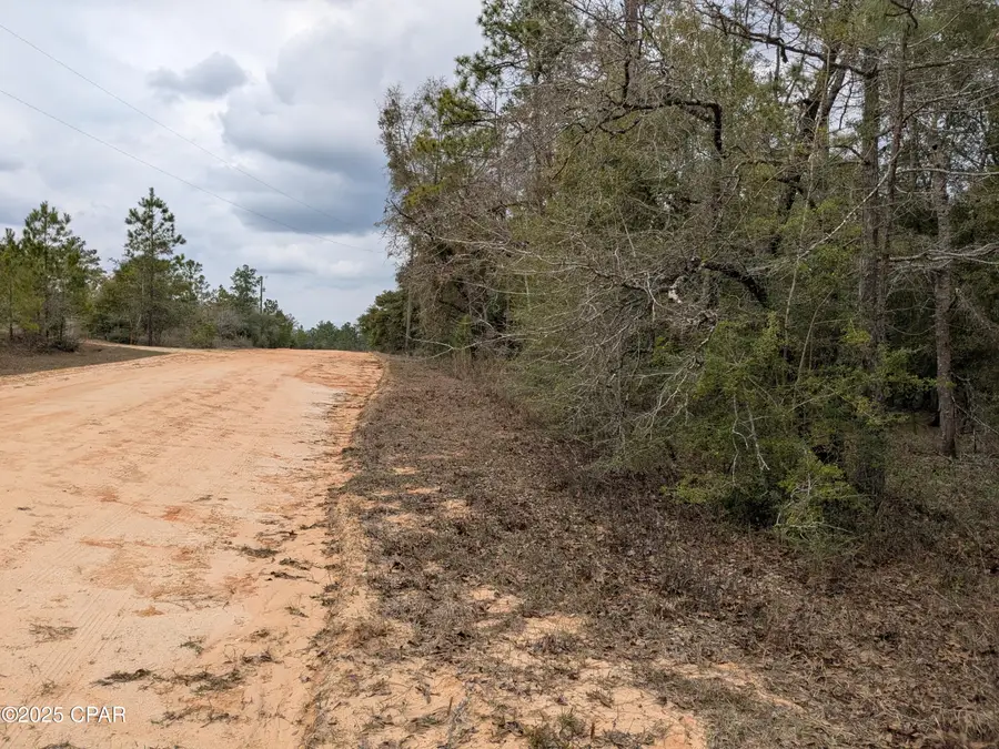 0 Starling Avenue, Marianna, FL 32448 - Image #3