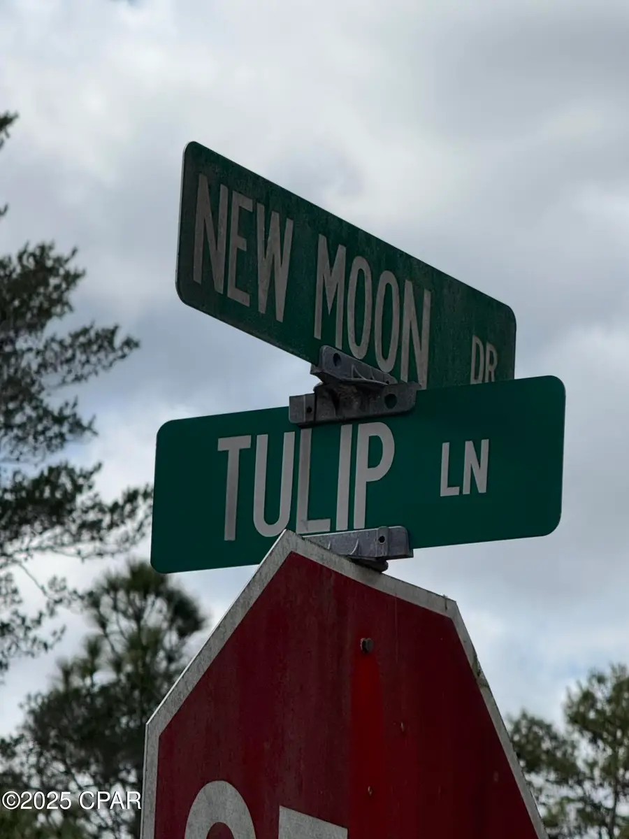 0 Newmoon Drive, Chipley, FL 32428 - Image #2
