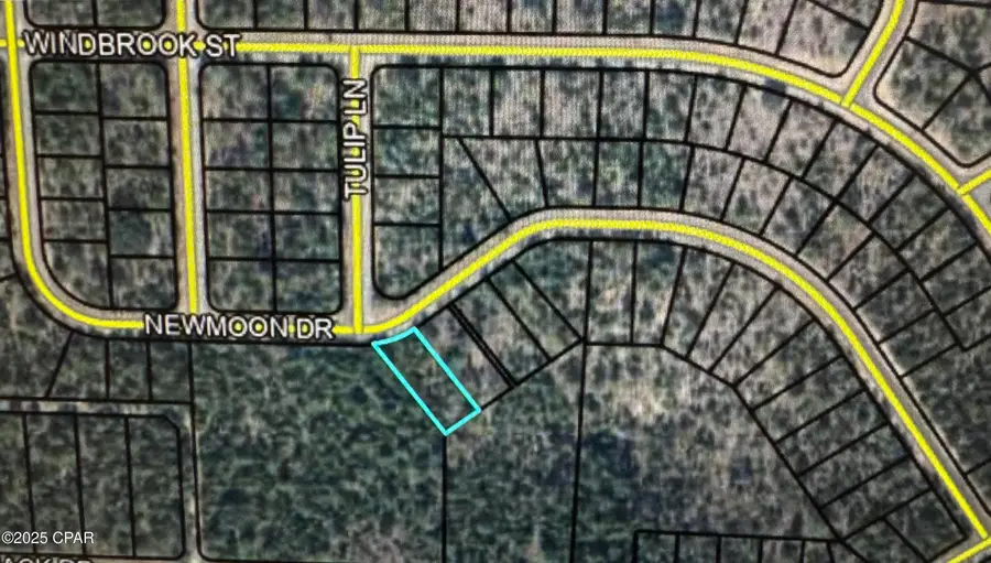 0 Newmoon Drive, Chipley, FL 32428 - Image #3