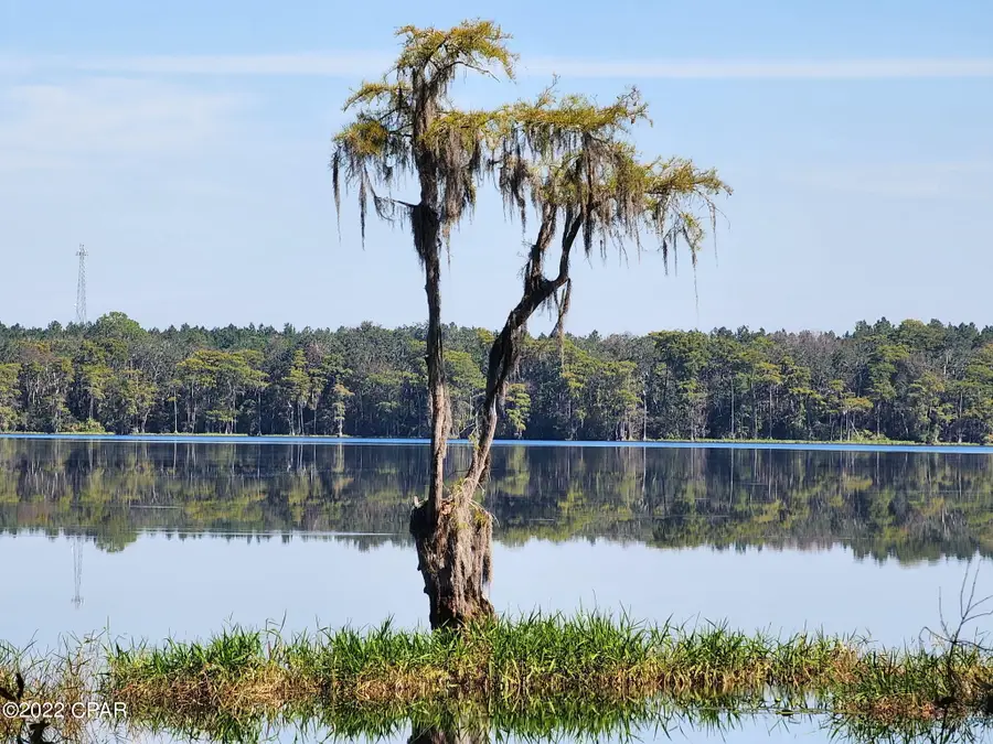 3199 Pate Pond Road, Vernon, FL 32462 - Image #3