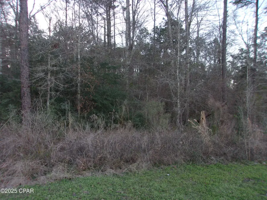 000 S Highway 79, Bonifay, FL 32425 - Image #3