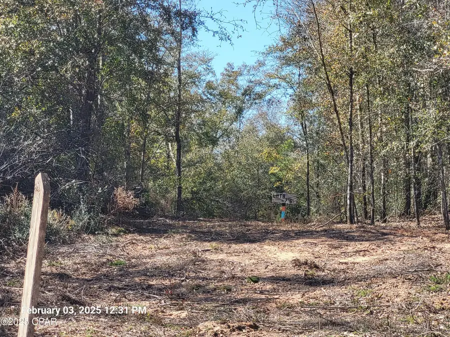 Lot 8 NW Womble Road, Altha, FL 32421 - Image #2