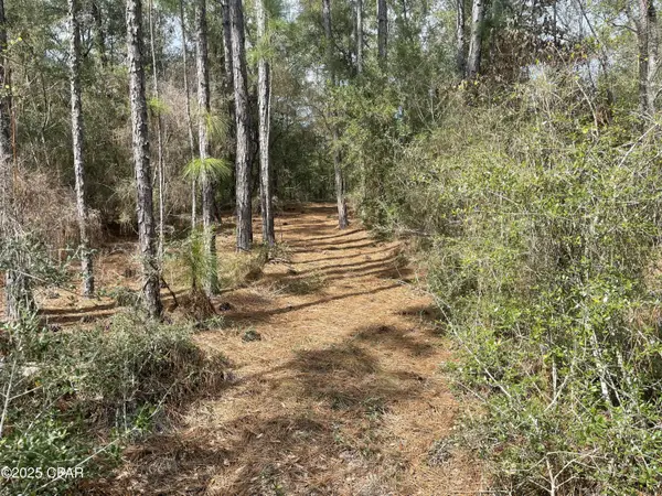 3340 Varsey Lane, Marianna, FL 32448