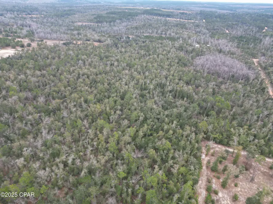 3340 Varsey Lane, Marianna, FL 32448 - Image #2