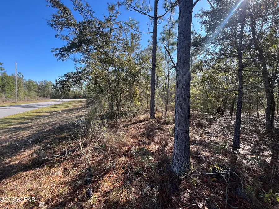Lot 17 Shelby Court, Chipley, FL 32428 - Image #2