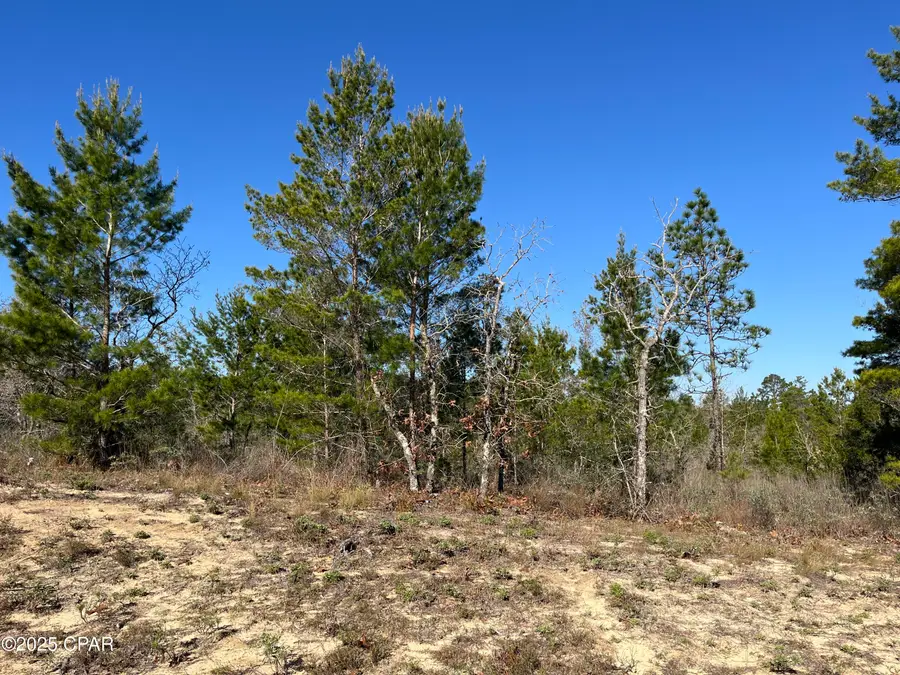 Lot 18 Carey Boulevard, Chipley, FL 32428 - Image #2
