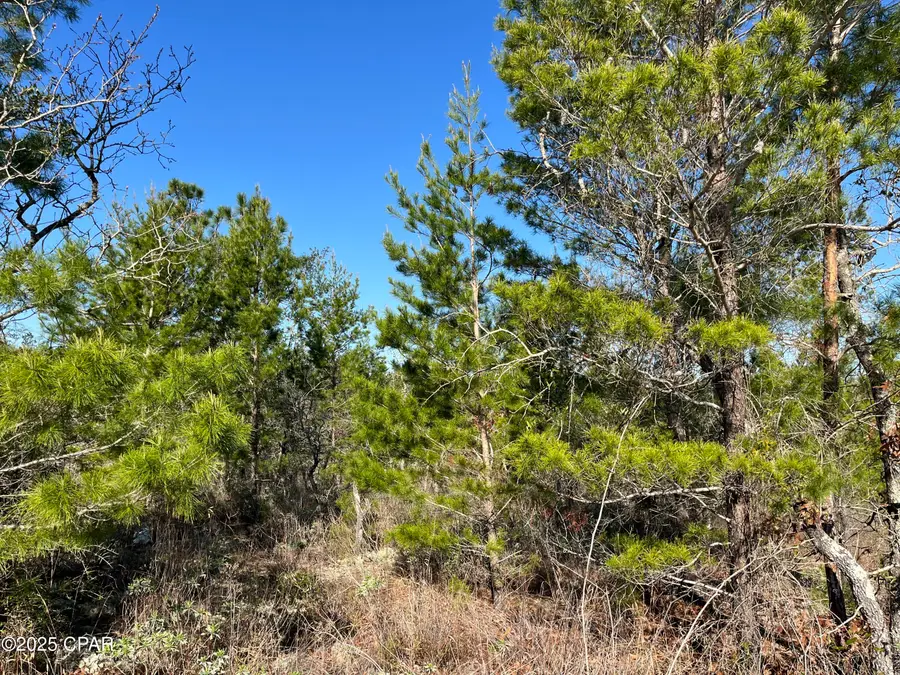Lot 18 Carey Boulevard, Chipley, FL 32428 - Image #3