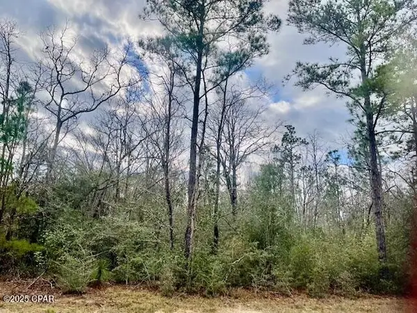 Lot 9 Red Road, Marianna, FL 32448