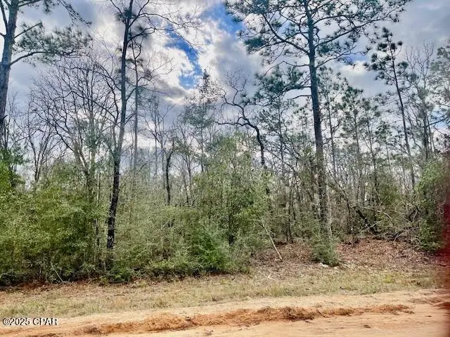 Lot 9 Red Road, Marianna, FL 32448 - Image #2