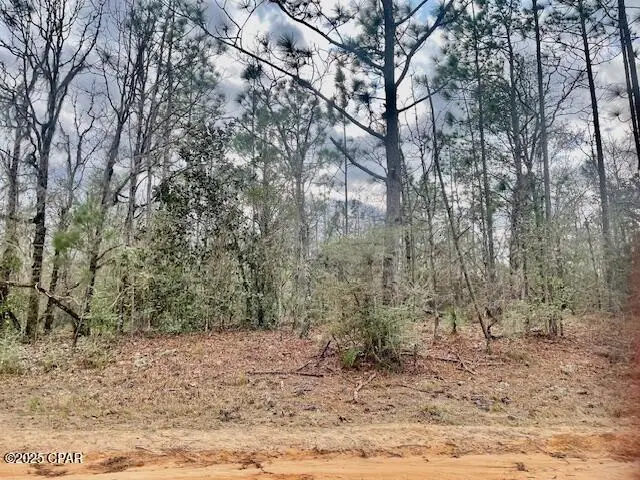 Lot 9 Red Road, Marianna, FL 32448 - Image #3