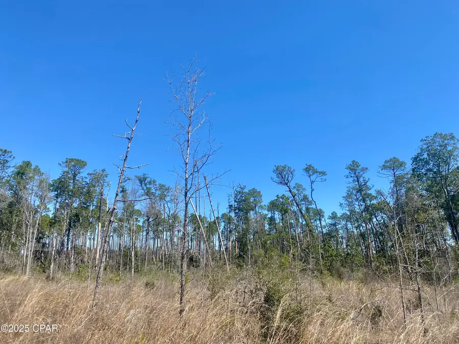 50 acres Nw Sellers Road, Bristol, FL 32321 - Image #2
