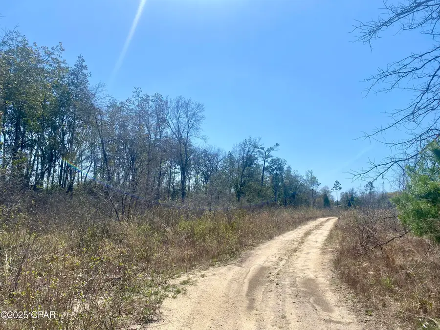 50 acres Nw Sellers Road, Bristol, FL 32321 - Image #3