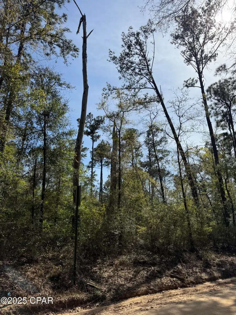00 Sunday Road, Chipley, FL 32428 - Image #2