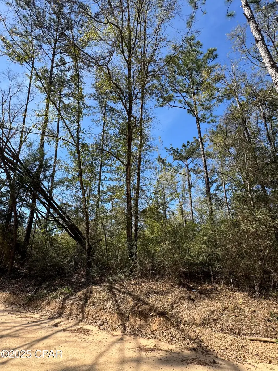 00 Sunday Road, Chipley, FL 32428 - Image #3
