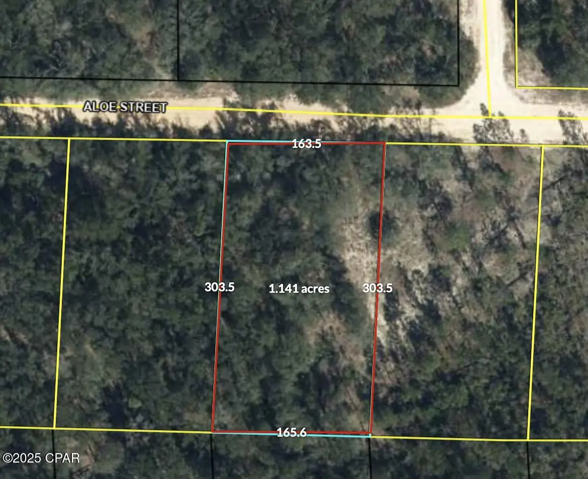 00 Aloe Street, Marianna, FL 32448 - Image #1