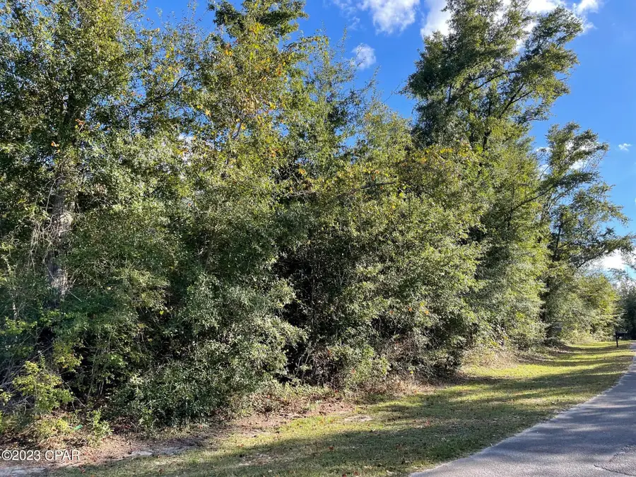 5320 Indian Bluff Drive, Youngstown, FL 32466 - Image #2