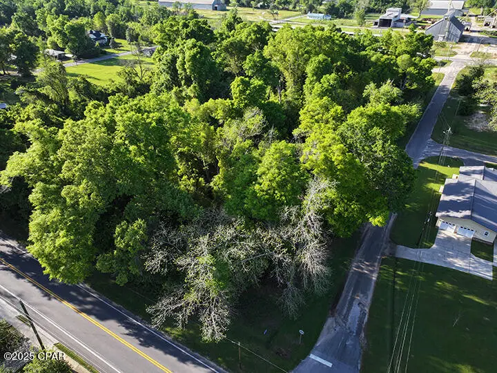 0000 Fort Road, Greenwood, FL 32443 - Image #2