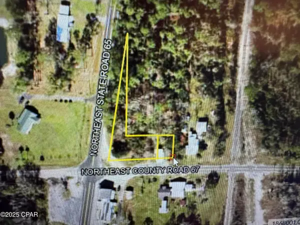 27134 NE County Road 67, Hosford, FL 32334