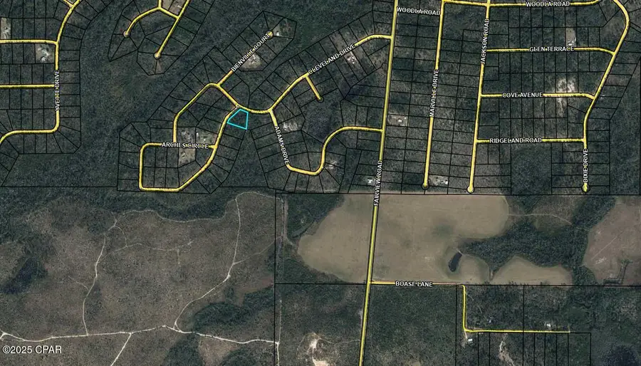 Lot 8 Cleveland Drive, Alford, FL 32420 - Image #2