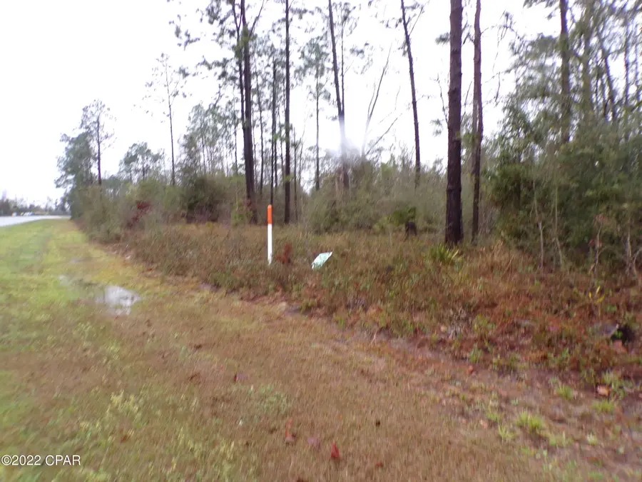 0 E Hwy 20, Youngstown, FL 32466 - Image #3