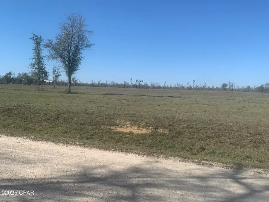 00 Bailey Cemetery Road, Clarksville, FL 32430 - Image #3