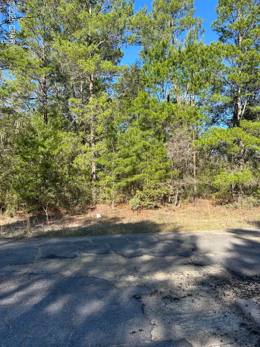 Lot 16 Pinehurst Avenue #Lot 1, Chipley, FL 32428 - Image #3
