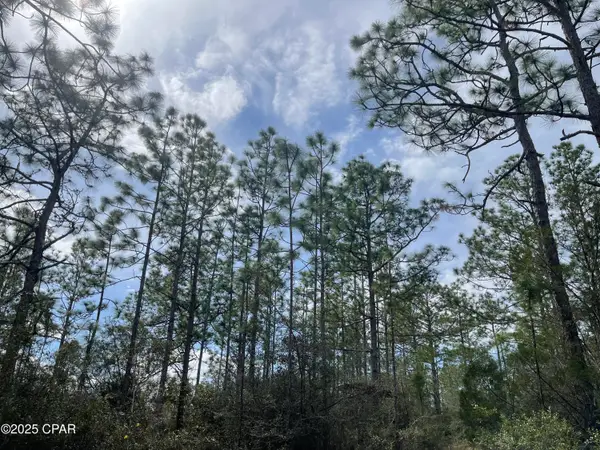 3340 Varsey Lane, Marianna, FL 32448