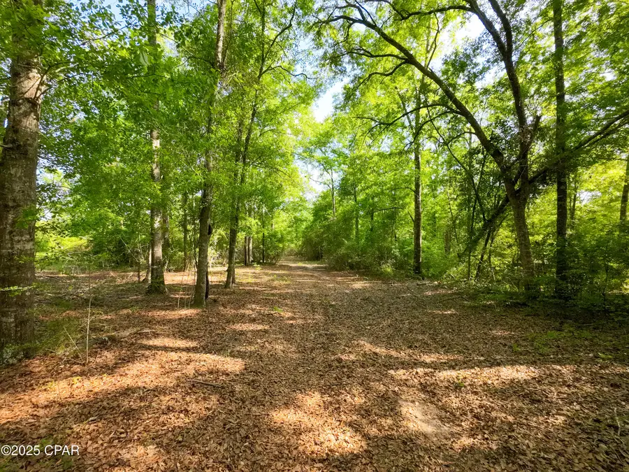 TBD Nearing Hills Circle, Chipley, FL 32428 - Image #3