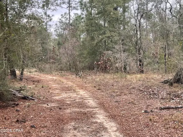 3340 Varsey Lane, Marianna, FL 32448