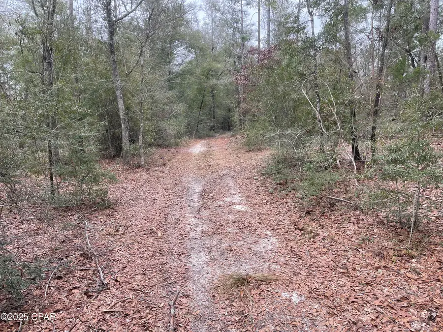 3340 Varsey Lane, Marianna, FL 32448 - Image #2