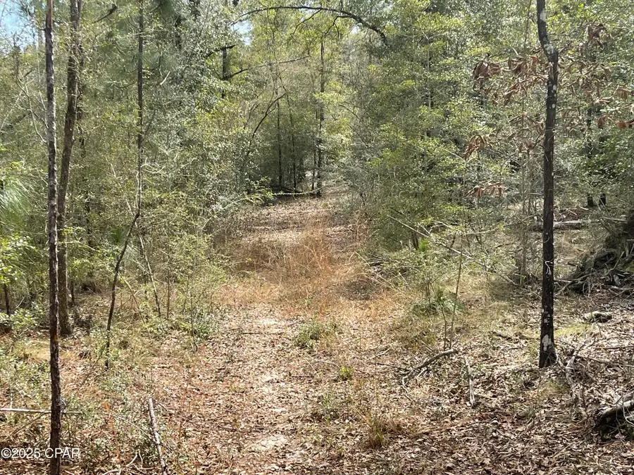 3340 Varsey Lane, Marianna, FL 32448 - Image #3