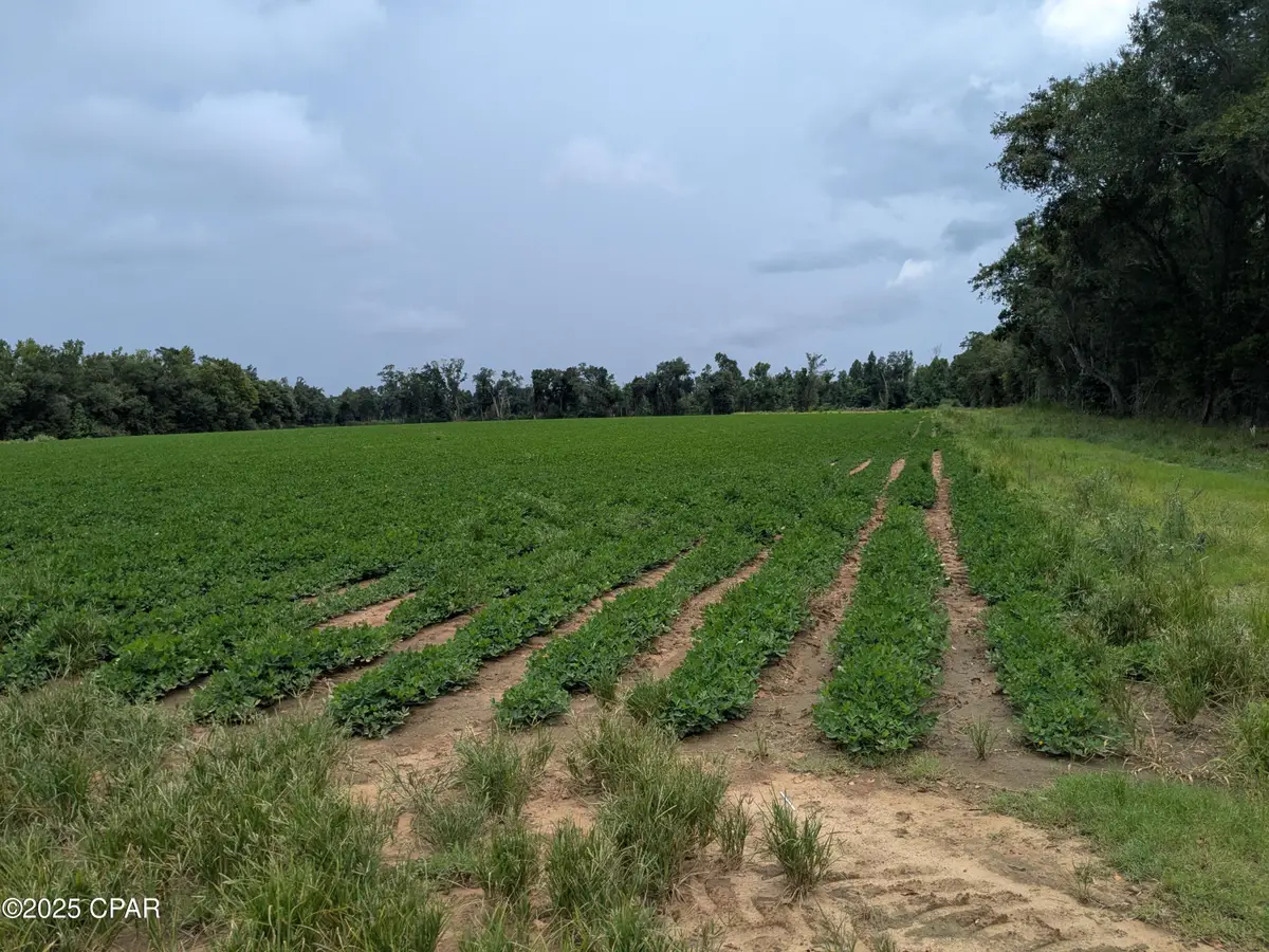 0 Sr-71, Malone, FL 32445 - Image #1