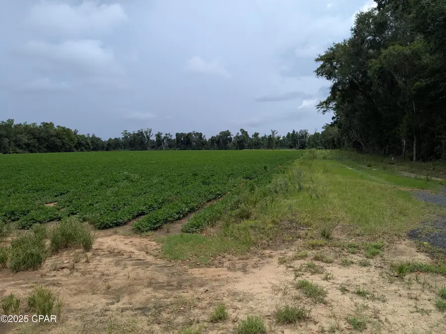 0 Sr-71, Malone, FL 32445 - Image #3