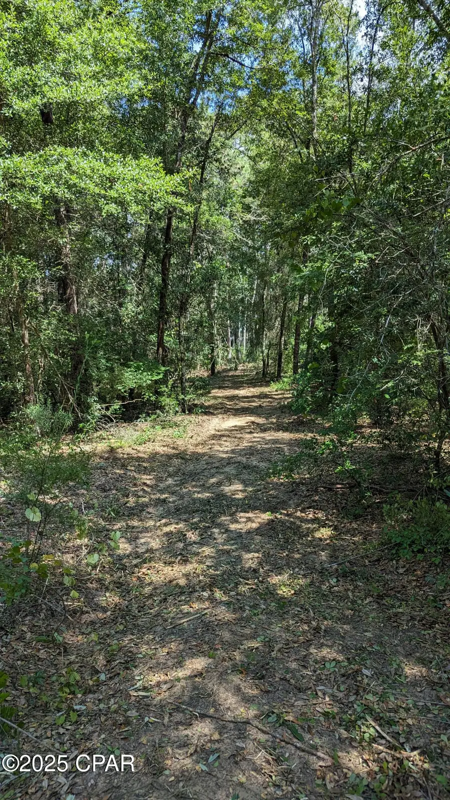 0000 Moss Hill Road, Chipley, FL 32428 - Image #2