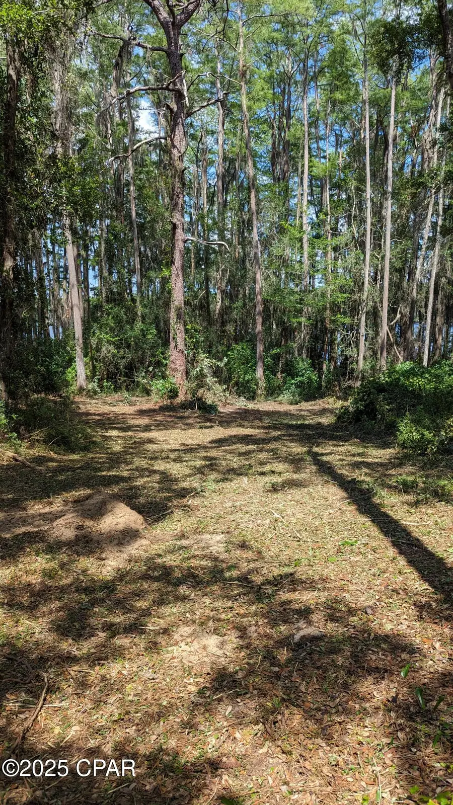 0000 Moss Hill Road, Chipley, FL 32428 - Image #3