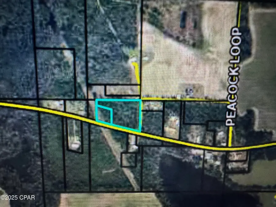 6834 Butler Road, Grand Ridge, FL 32442 - Image #3