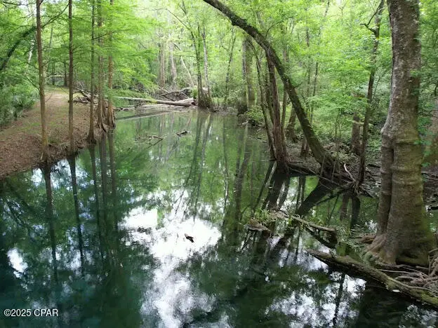 000 79 Highway, Vernon, FL 32462 - Image #2