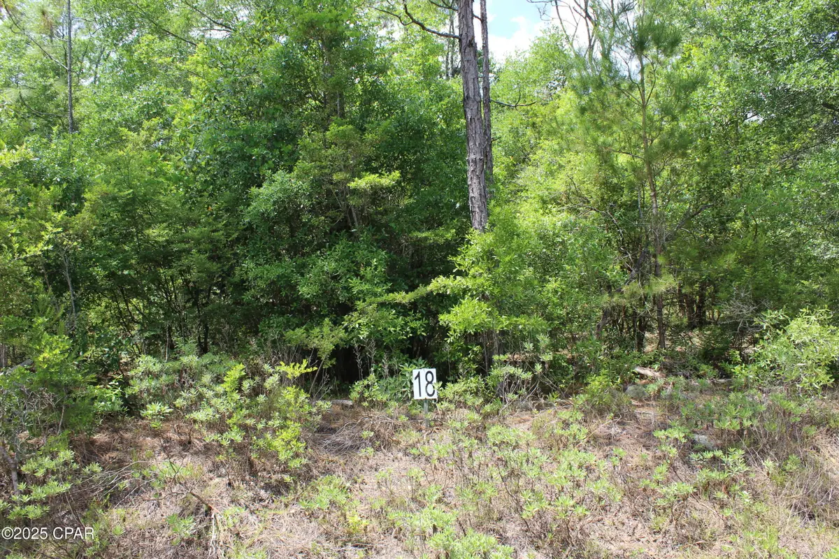Lot 18 Arnone Lane, Chipley, FL 32428 - #1