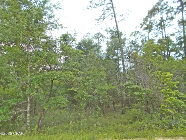 Lot 7 Castle Circle, Alford, FL 32420