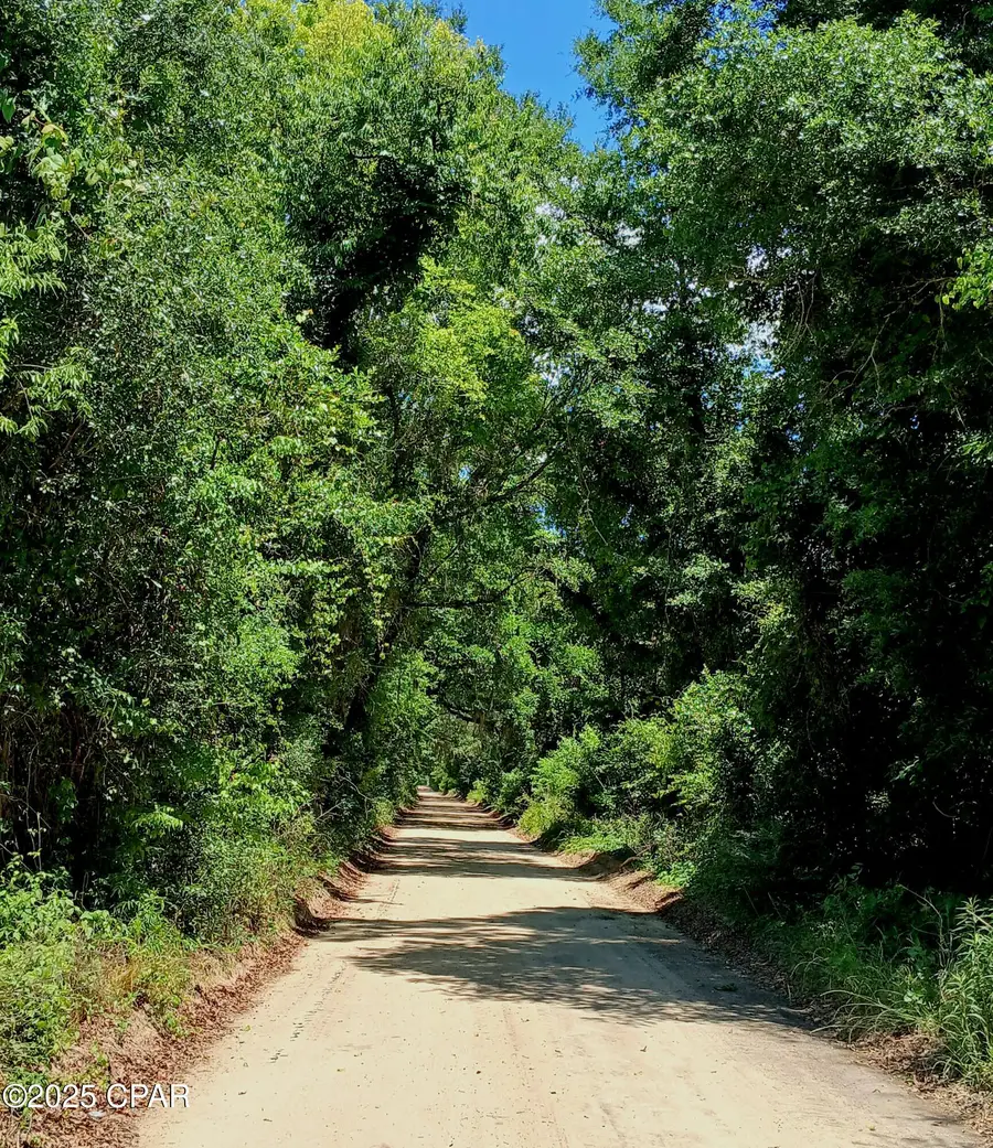 6694 Wolf Pond Road, Bascom, FL 32423 - Image #2