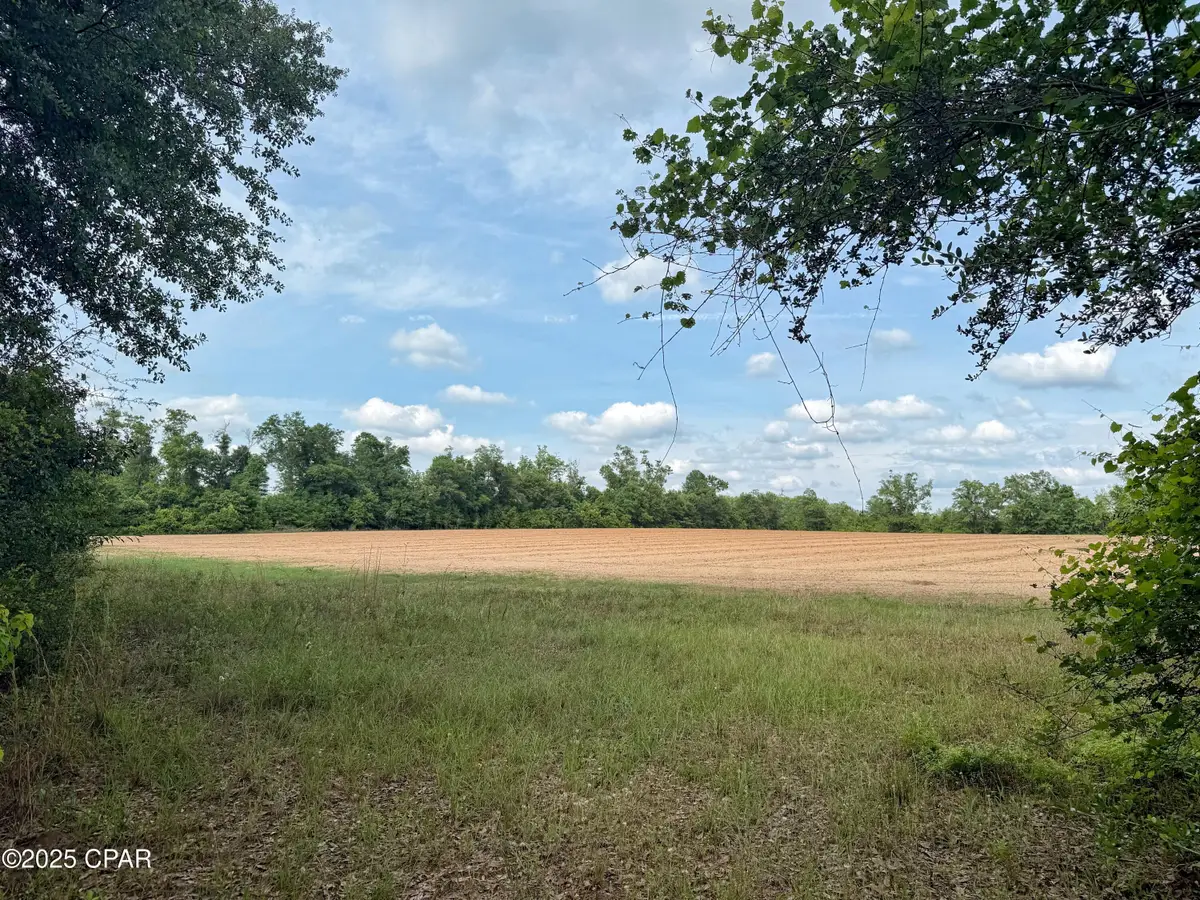 00 Delta Lane, Marianna, FL 32448 - Image #1