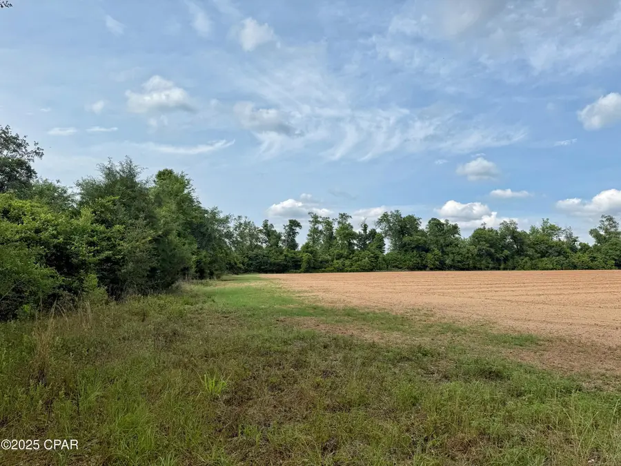 00 Delta Lane, Marianna, FL 32448 - Image #3