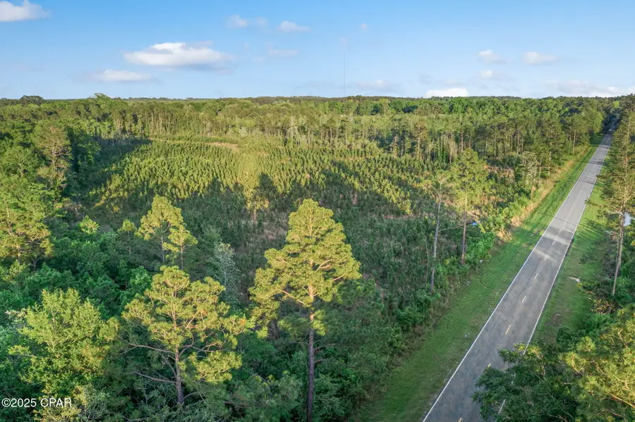 XXX Cr 177 #Lot 1, Bonifay, FL 32425 - Image #2