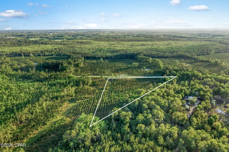 XXX Cr 177 #Lot 1, Bonifay, FL 32425 - Image #3