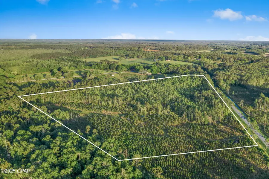 XXX Cr 177 #Lot 2, Bonifay, FL 32425 - Image #3