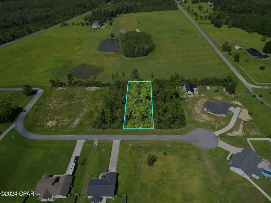 229 Edge Hill Road, Wewahitchka, FL 32465 - Image #3