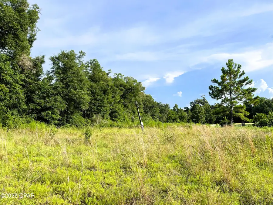 0 W Fort Road, Greenwood, FL 32443 - Image #3